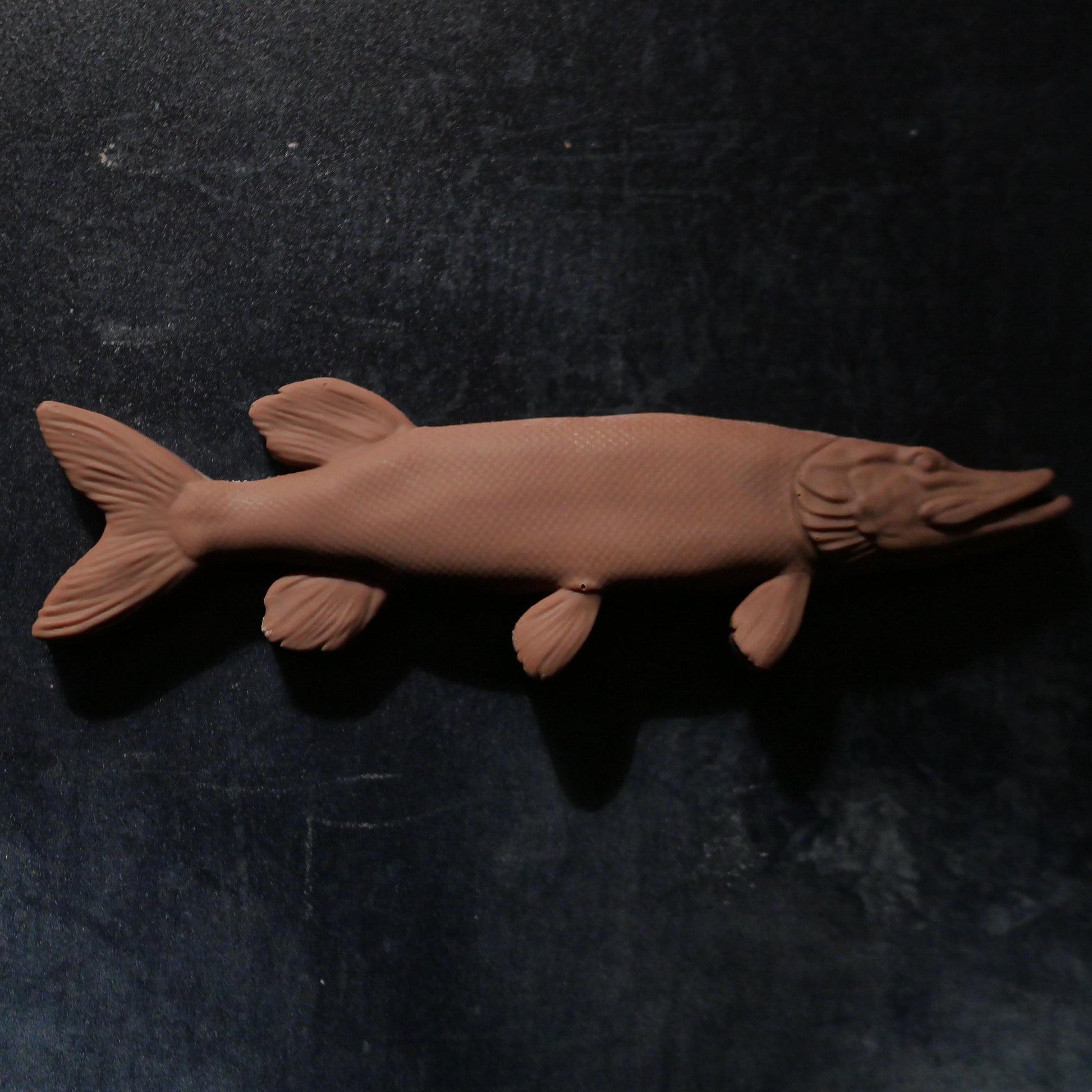 A pike fish-shaped Belgian milk chocolate bar on a dark background.