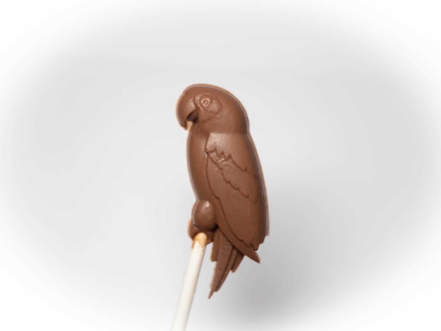 Parrot Safari Animal Belgian Milk Chocolate Lollipops x 4