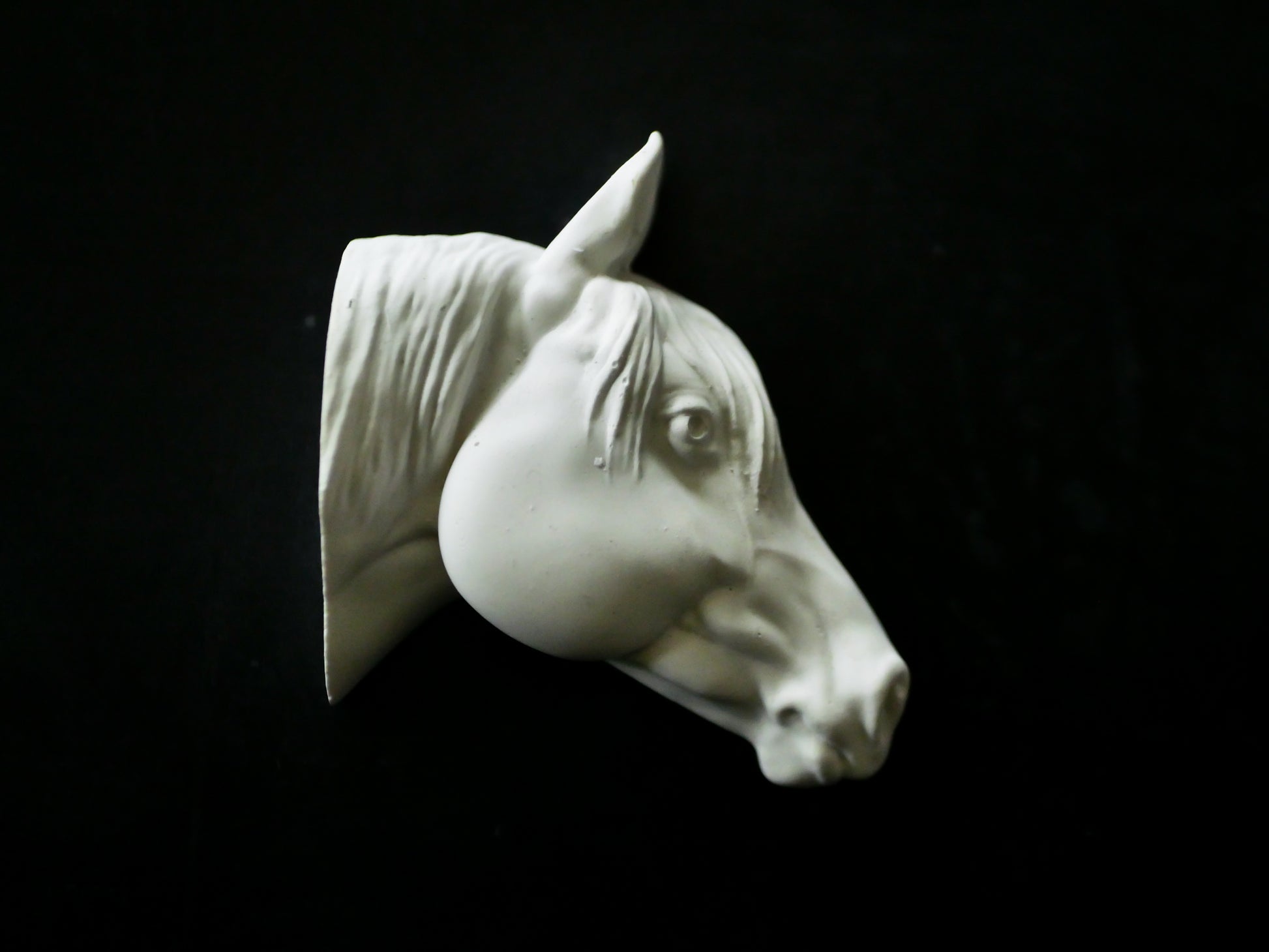 White horse head sculpture on a black background