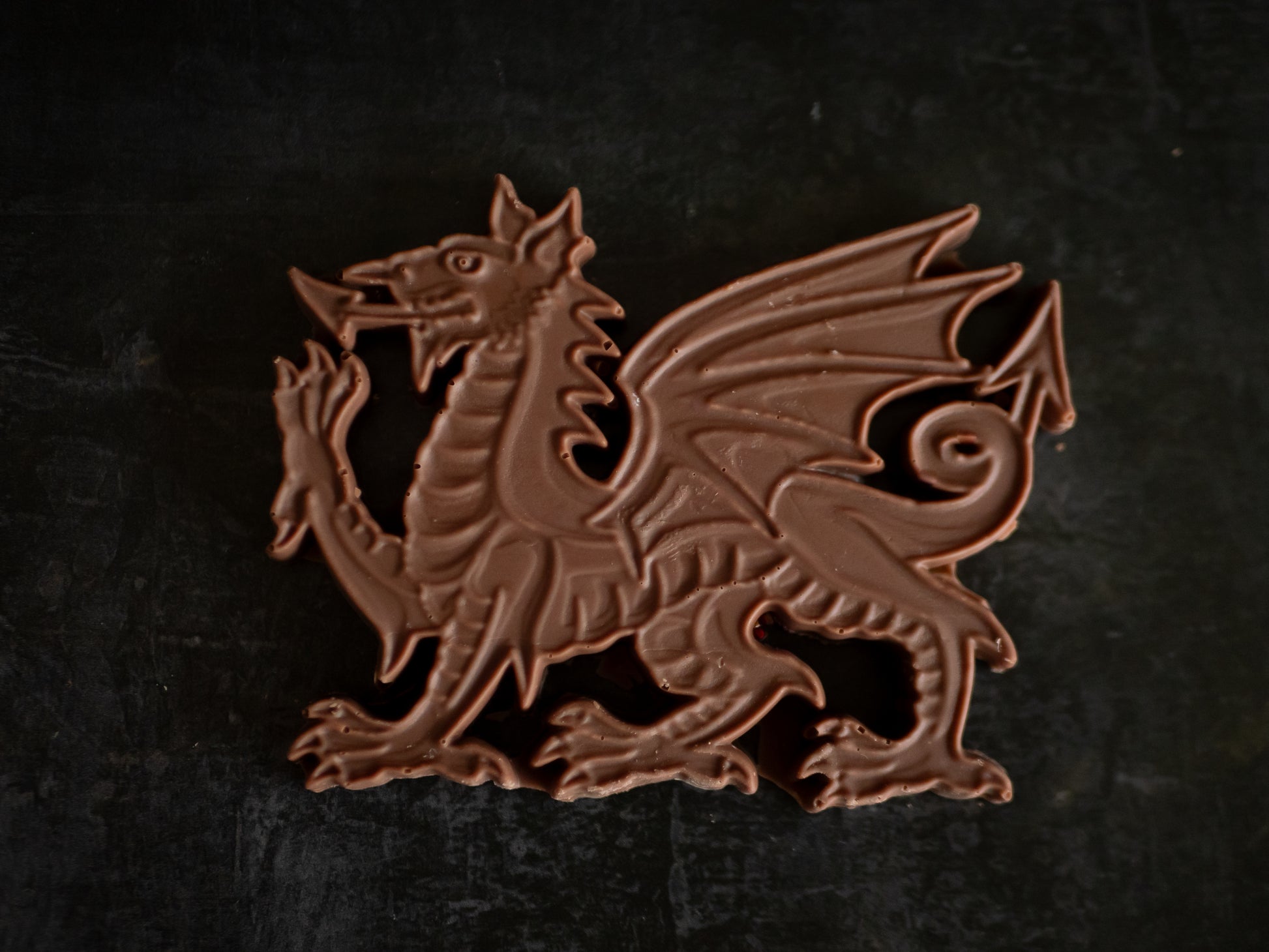 chocolate welsh dragon on a dark background