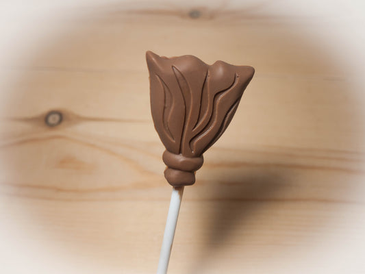 Set of 8 Belgian chocolate broomstick lollipops
