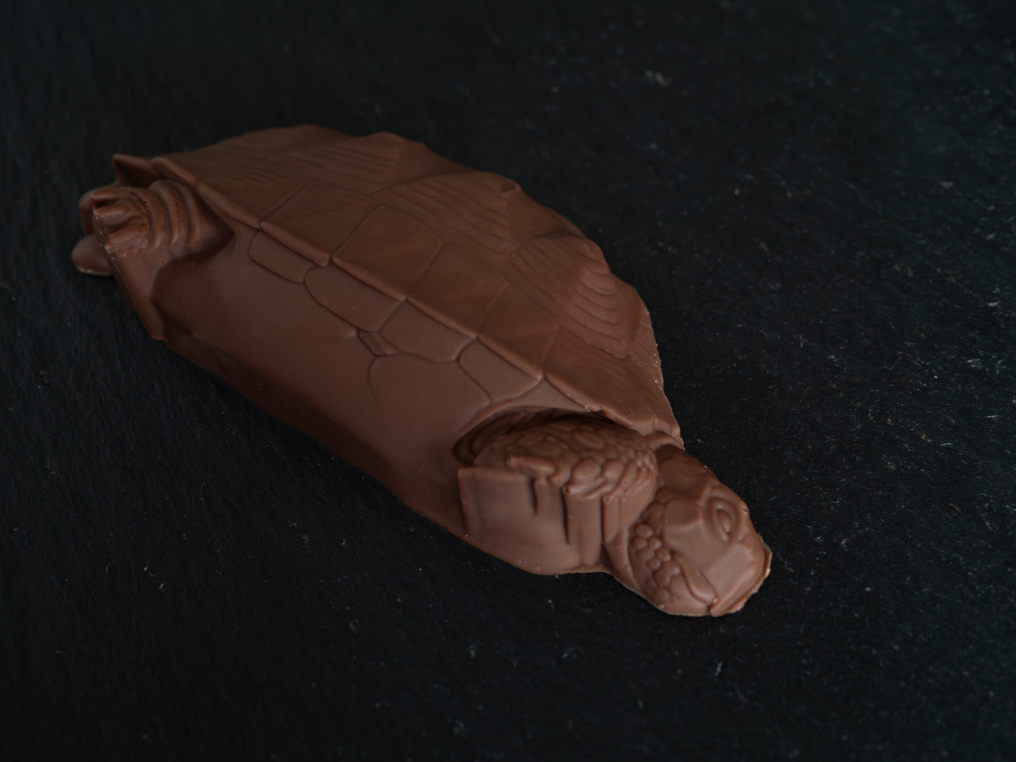 Tortoise Design Belgian Chocolates in Gift Box