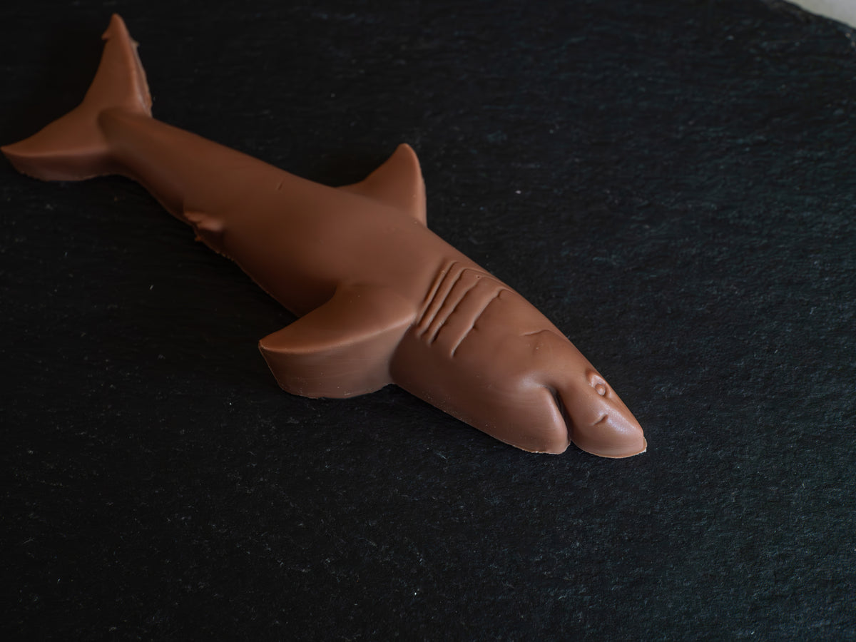 Hand-Sculpted Belgian Milk Chocolate Shark in Gift Box