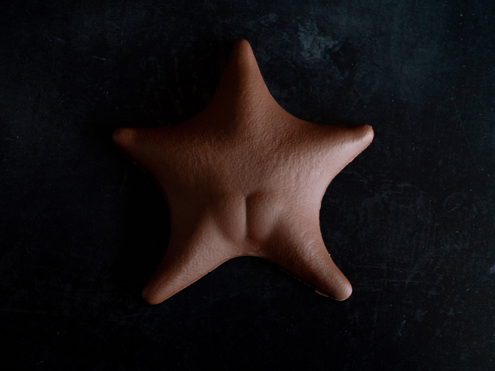 Starfish shaped chocolate on a dark background