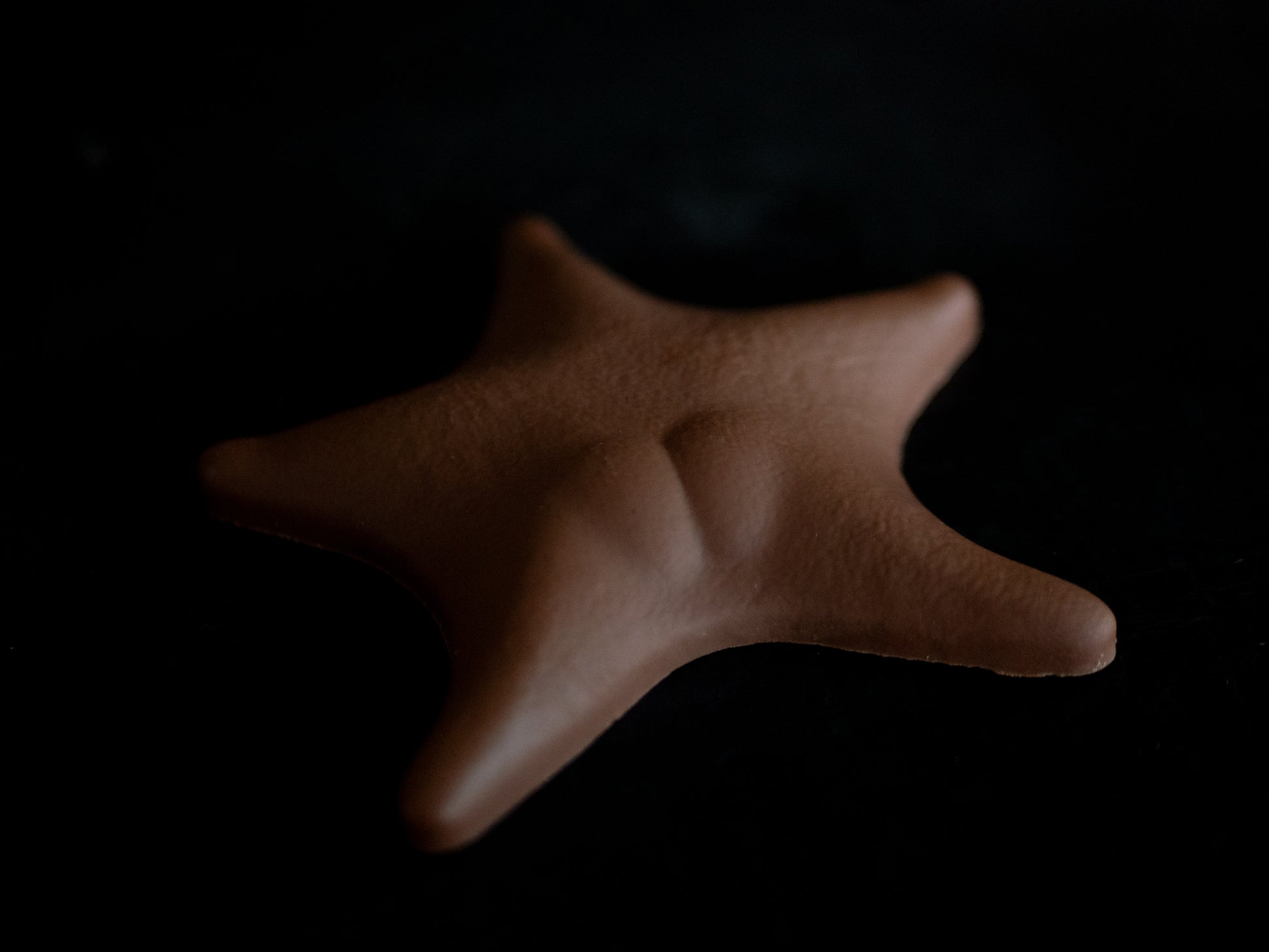 starfish shaped chocolate on dark background
