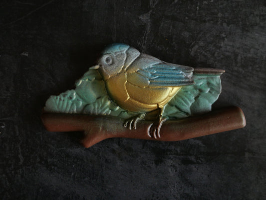 Belgian Chocolate Blue Tit bird/ garden/ Nature/ wildlife/ birdwatching