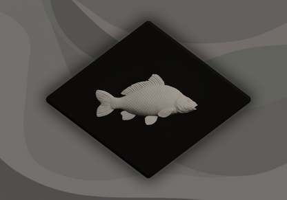 Carp Fish Signling - 3D Door Sign, Plaque, Nameplate - Can be Personalised
