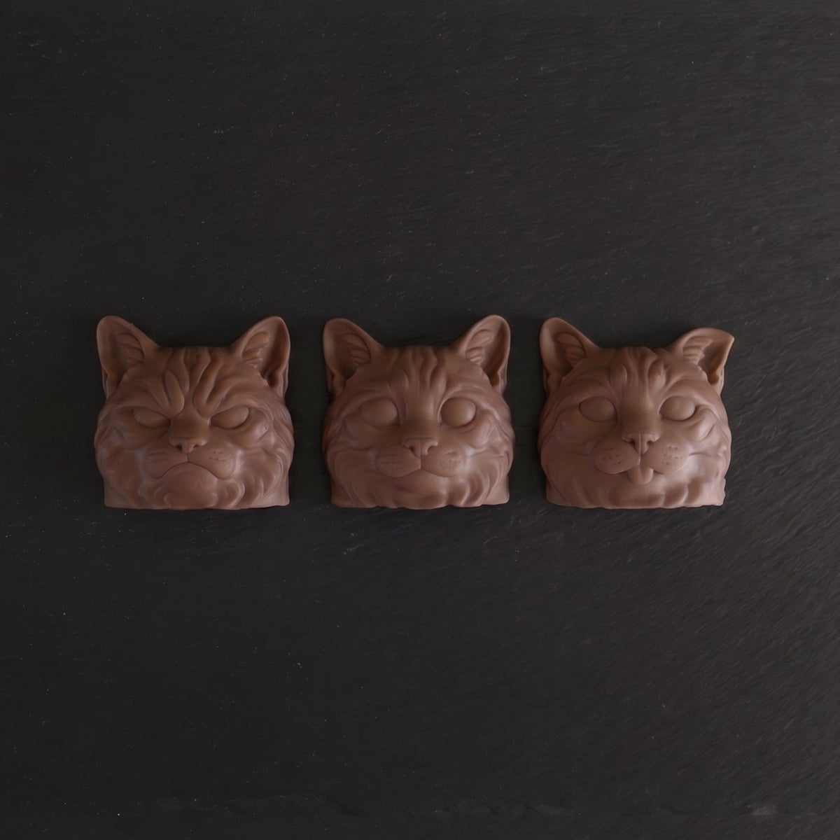 Exclusive Expressive Cat Heads Trio Belgian Chocolates in Gift Box