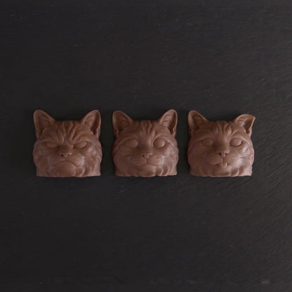 Exclusive Expressive Cat Heads Trio Belgian Chocolates in Gift Box