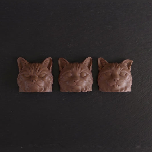 Exclusive Expressive Cat Heads Trio Belgian Chocolates in Gift Box