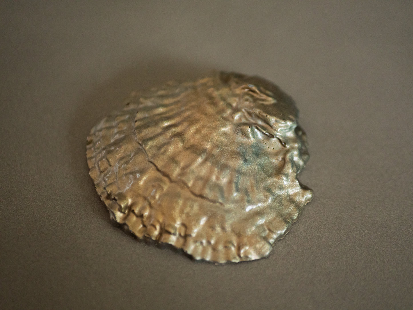 Painted Oyster set