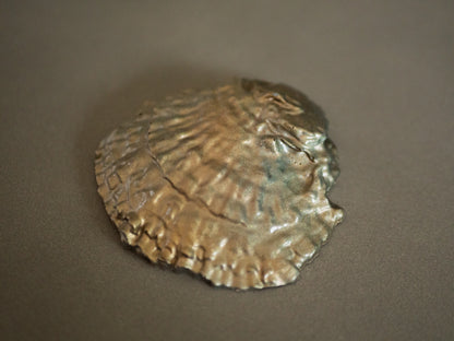 Painted Oyster set