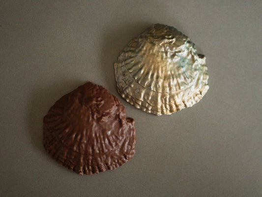 Painted Oyster set