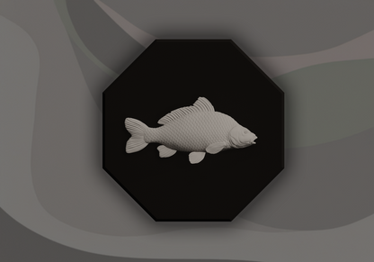 Carp Fish Signling - 3D Door Sign, Plaque, Nameplate - Can be Personalised