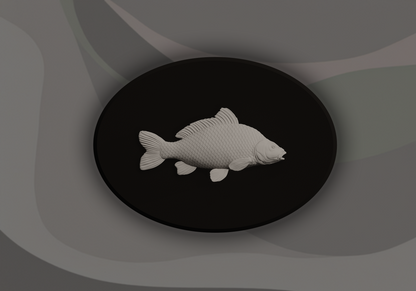 Carp Fish Signling - 3D Door Sign, Plaque, Nameplate - Can be Personalised