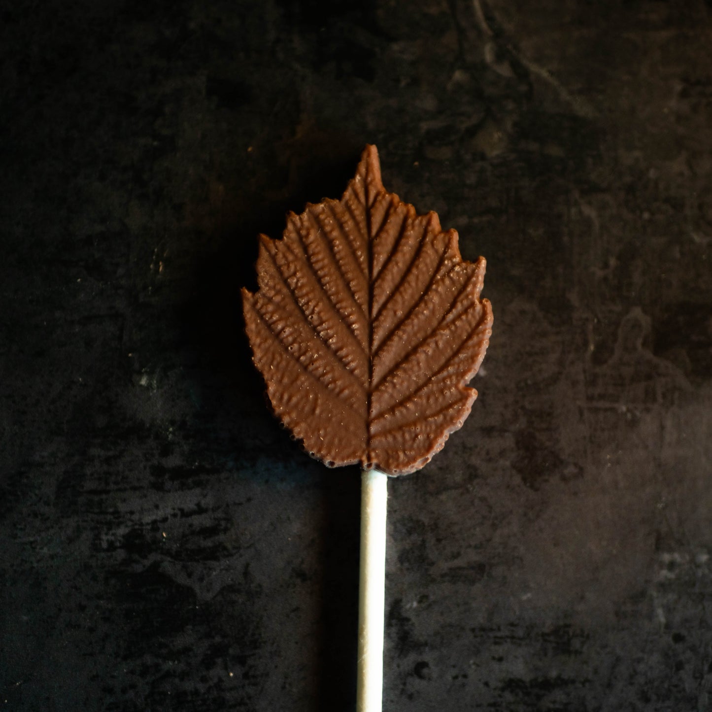 100 x Belgian Chocolate Tree Leaf Design Lollies