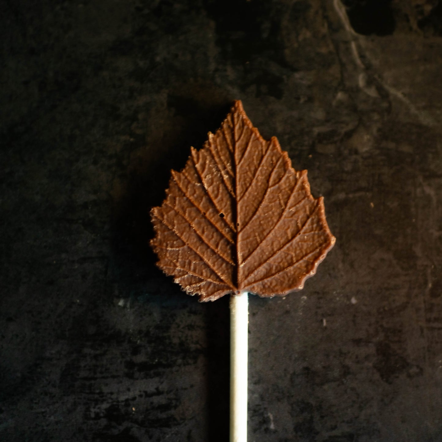 100 x Belgian Chocolate Tree Leaf Design Lollies