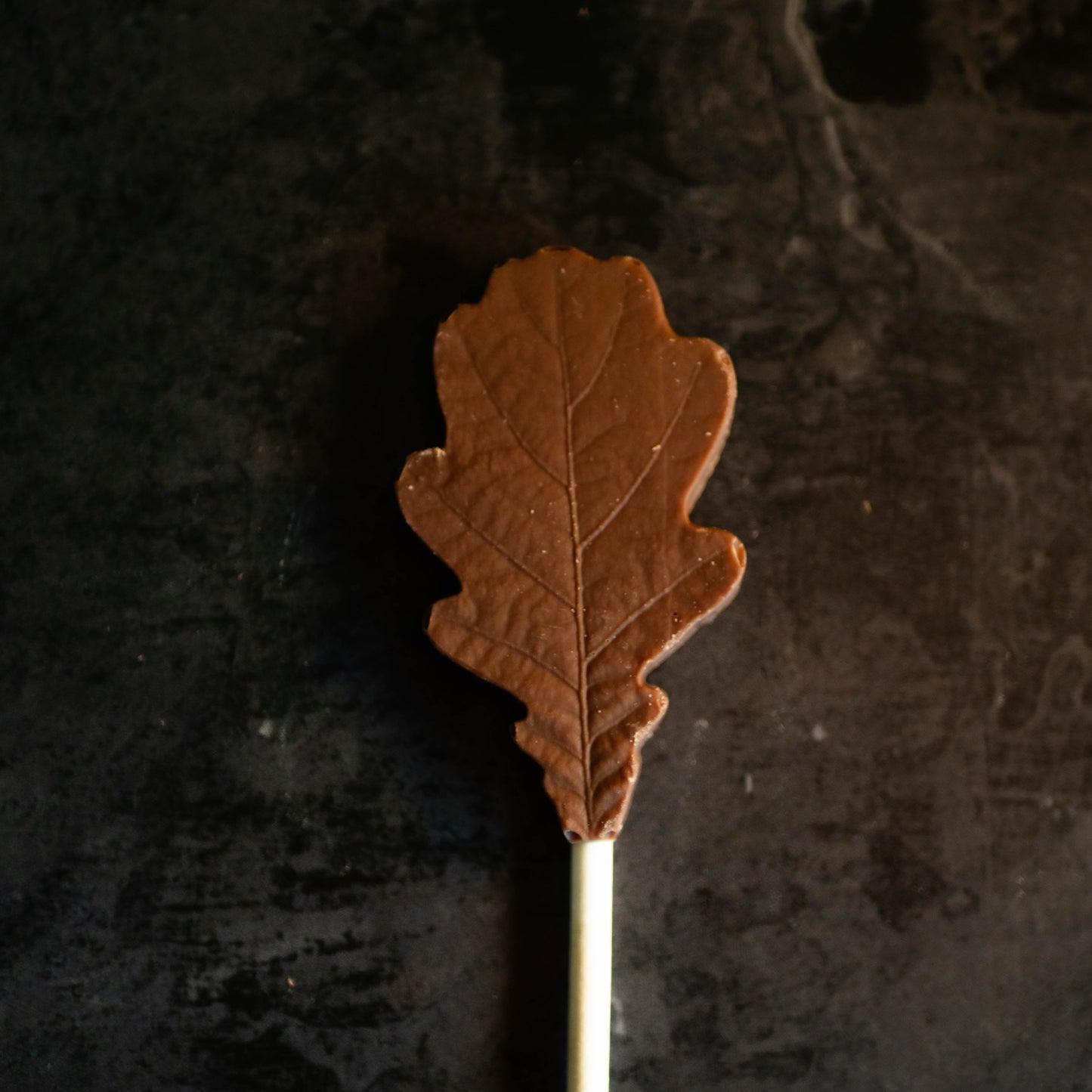 100 x Belgian Chocolate Tree Leaf Design Lollies