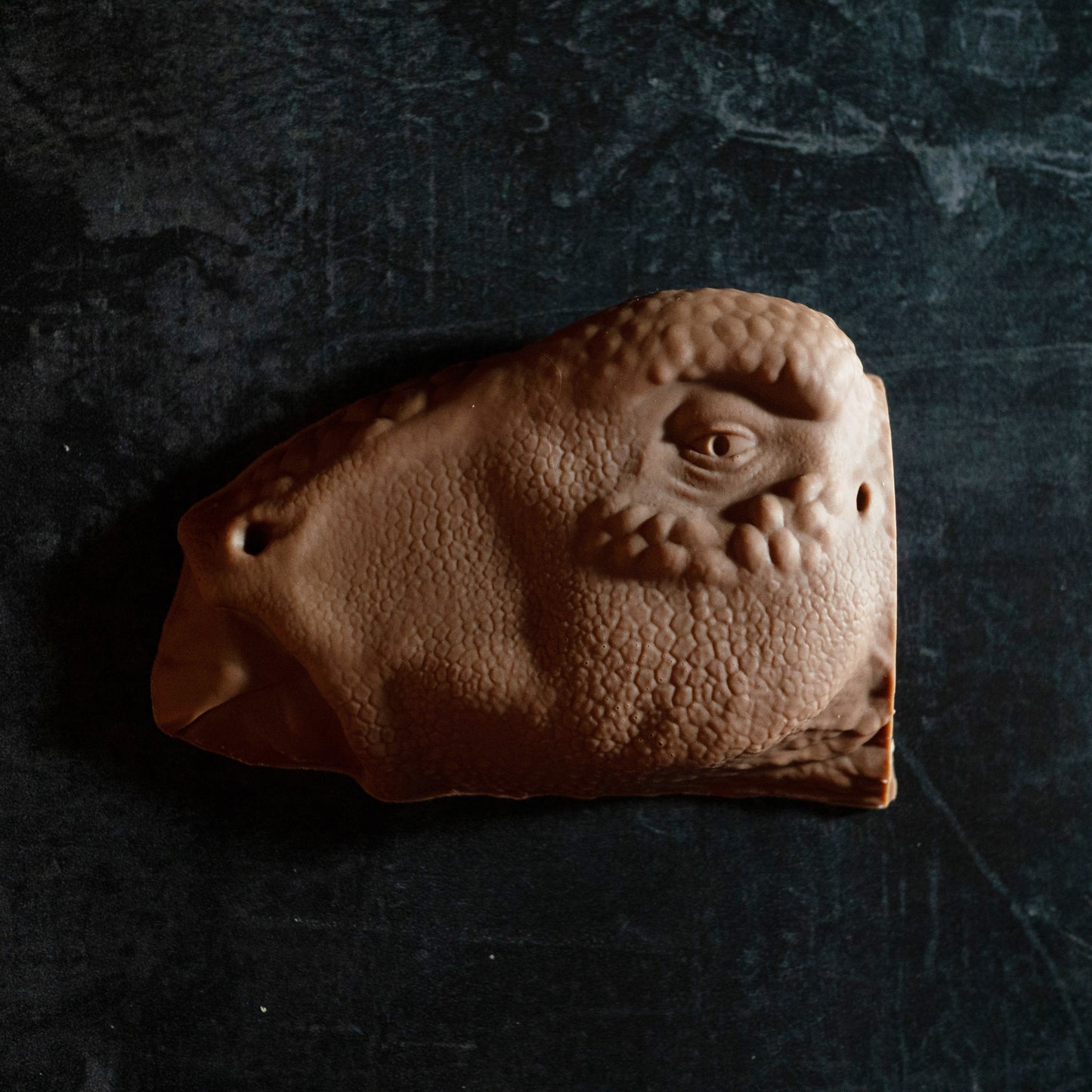 Belgian milk Chocolate Dinosaur/ reptile/ Prehistoric