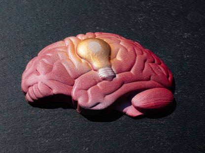 Bright Ideas painted chocolate (brain/lightbulb)