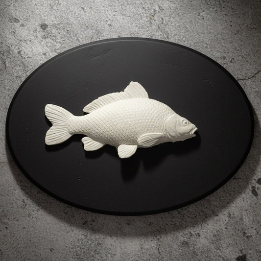 Carp Fish Signling - 3D Door Sign, Plaque, Nameplate - Can be Personalised