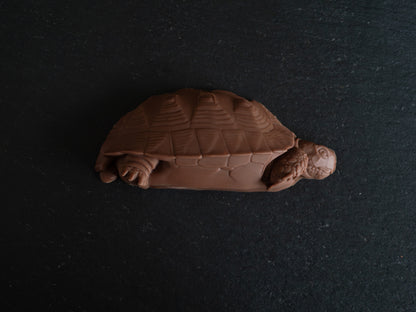 Tortoise Design Belgian Chocolates in Gift Box