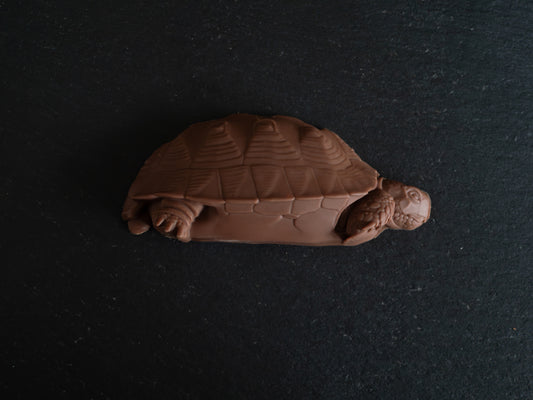 Tortoise Design Belgian Chocolates in Gift Box