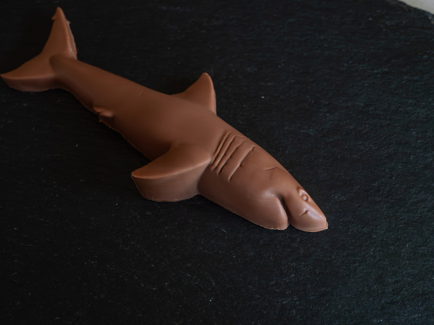 Hand-Sculpted Belgian Milk Chocolate Shark in Gift Box