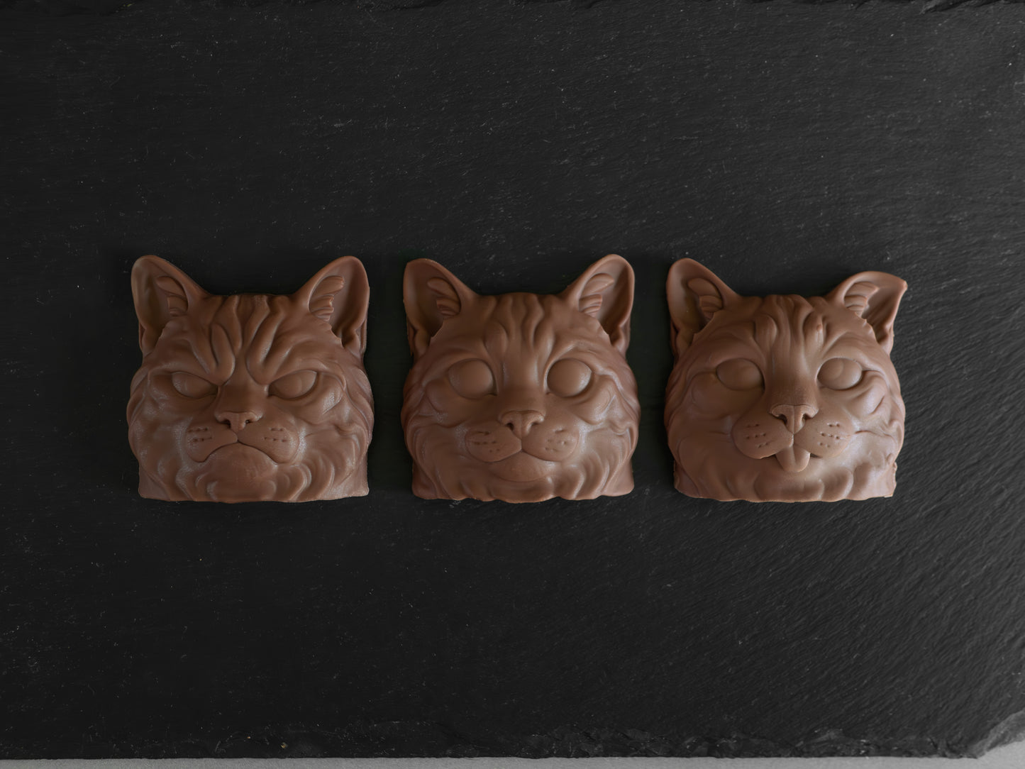 Exclusive Expressive Cat Heads Trio Belgian Chocolates in Gift Box