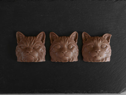 Exclusive Expressive Cat Heads Trio Belgian Chocolates in Gift Box