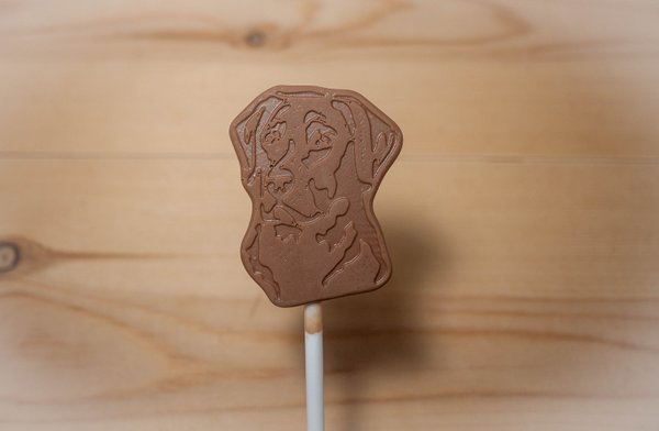 Belgian chocolate lollipops, Labrador Retriever Dog x 8
