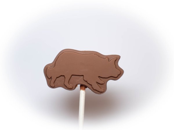 Belgian chocolate lollipops, Border Collie Dog Breed  Mix and Match